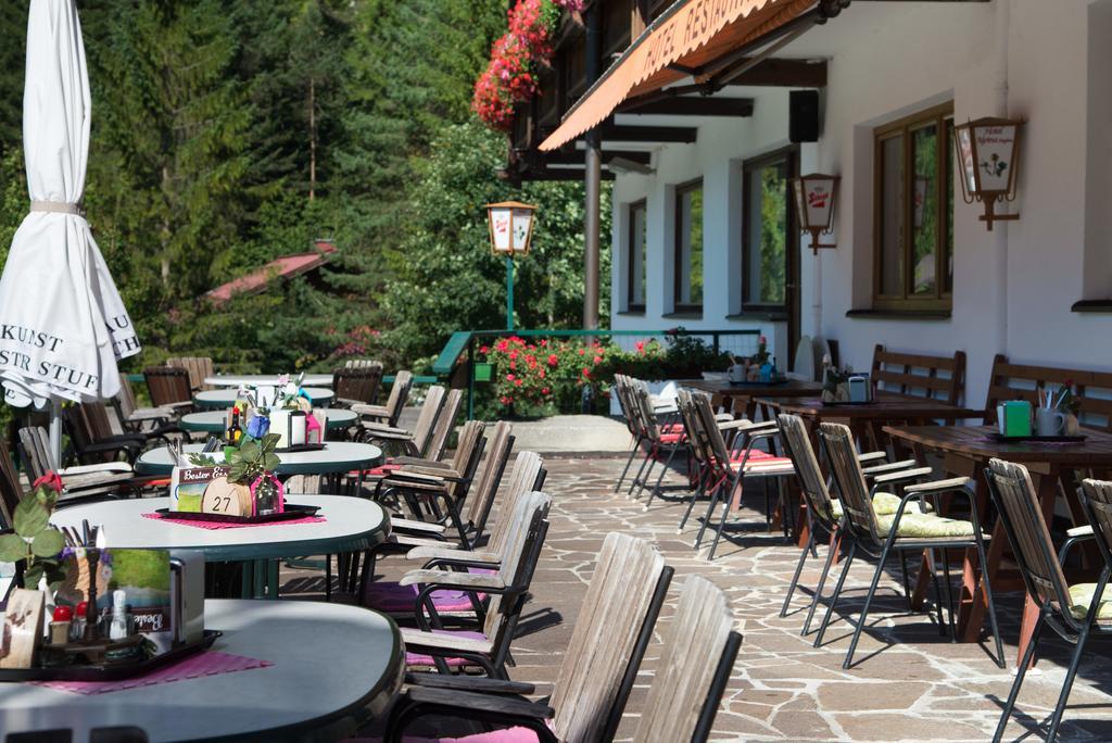 Hotel Alpina Regina Бибервир Экстерьер фото